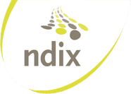 NDIX Logo